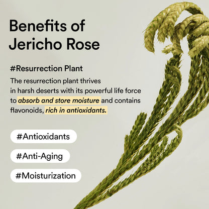 Jericho Rose Jelly Collagen Eye cream - 30 ml